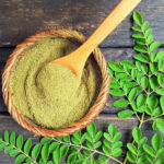 Moringa – The Tree of Life
